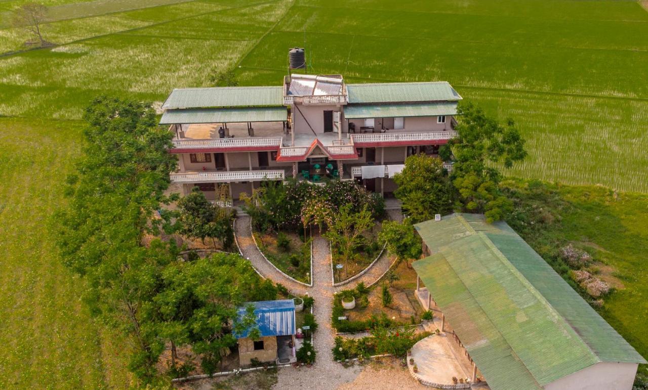 Hotel Tree Tops Sauraha Esterno foto