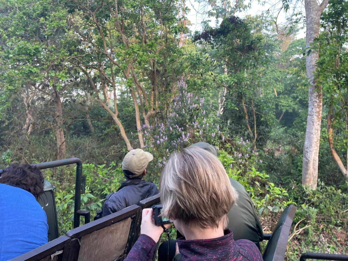 Hotel Tree Tops Sauraha Esterno foto