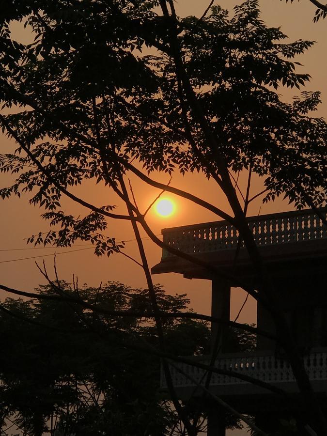Hotel Tree Tops Sauraha Esterno foto